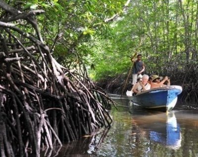 Island Tour from Bali - Lembongan Mangrove Tour (Package C)
