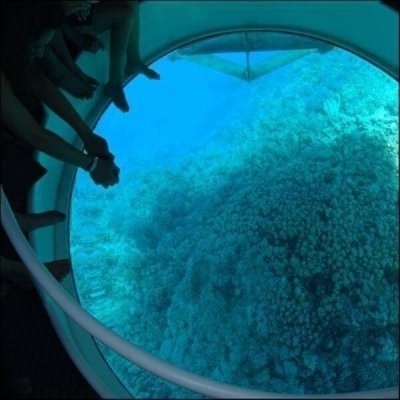 Glass bottom Diamant Flying Boat - Private Charter