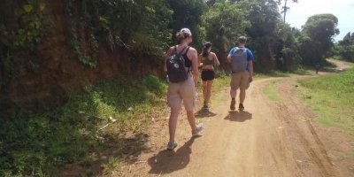 Gorilla 🦍 tracking