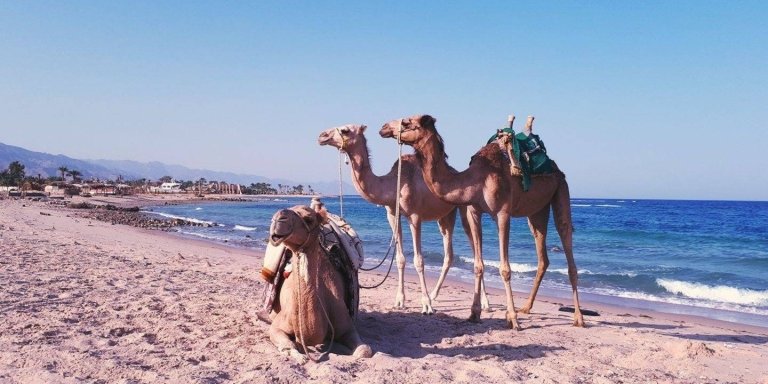 FULL DAY TOUR IN DAHAB FROM SHARM  EL SHEIKH