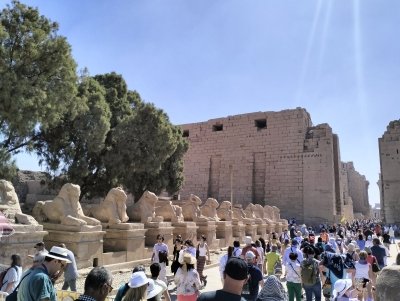 7 Days - Egypt Luxury Adventure : Cairo & Nile cruise (Flight)