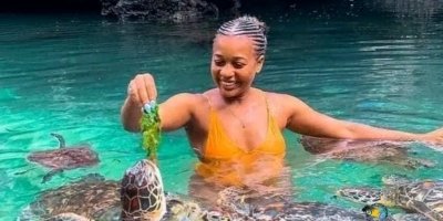 Zanzibar: Swimming with Turtles and feeding with Hotel Transfers