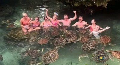 Zanzibar: Swimming with Turtles and feeding with Hotel Transfers