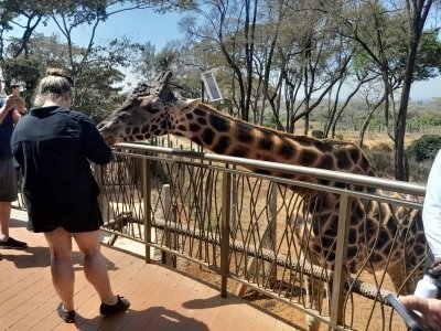 Nairobi kenya  Airport-transfers