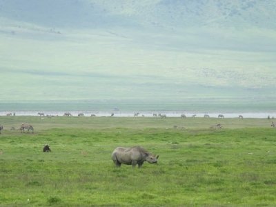 THREE DAYS TARANGIRE NP, LAKE MANYARA N.P, NGORONGORO CRATER