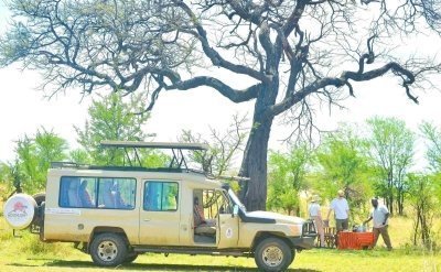 4-Day Serengeti Migration - Tanzania Safari