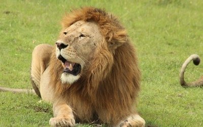 5 Day Tanzania private photographer Safari