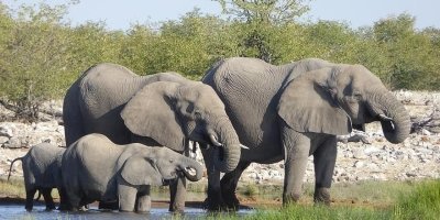 Sightseeing Day-Tours