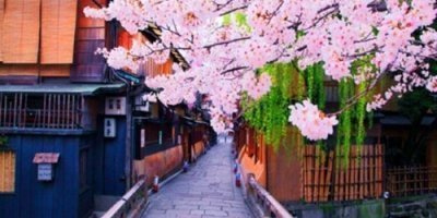 Japan | One day charter or customized tour in Kansai region | Regions