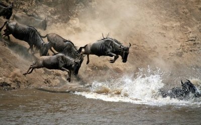 4-Day Tarangire, Serengeti & Ngorongoro Private Safari