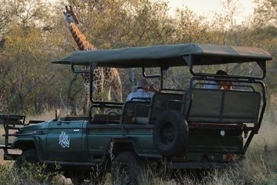 5-Day Kruger National Park Safari
