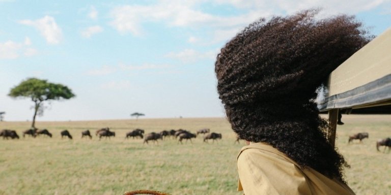 Unforgettable Safari