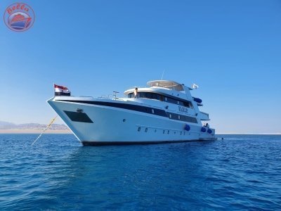 Scuba diving Liveaboard