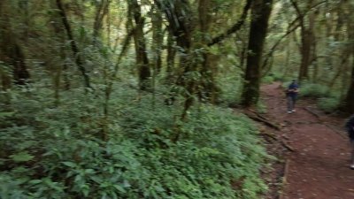 2 DAY Mount Kilimanjaro Day Hike and Ngorongoro Crater joining groups