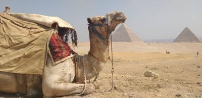Giza Pyramids Tour - Private Day Trip