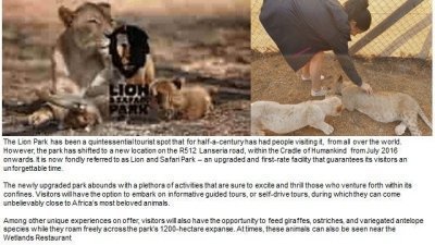 Airport transfer to Bakubung Bush Lodge, Pilanesberg National Park