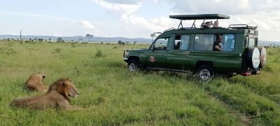 3 Days Safari to Mikumi NP Plus Maasai Community Visit