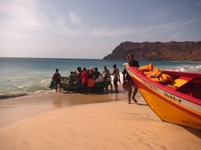 Swimming and Snorkeling Tour with Sea Turtles