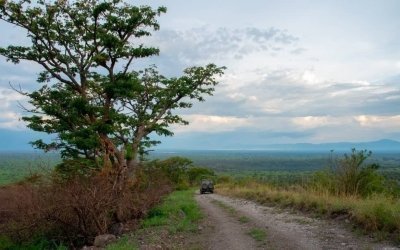 3-Day Wildlife  Trip to Queen Elizabeth NP Including Chimp Trekking.