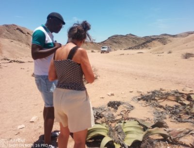 Welwitschia Moon Landscape Tour