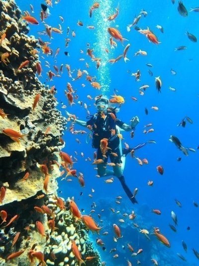 PADI Open Water Diver course