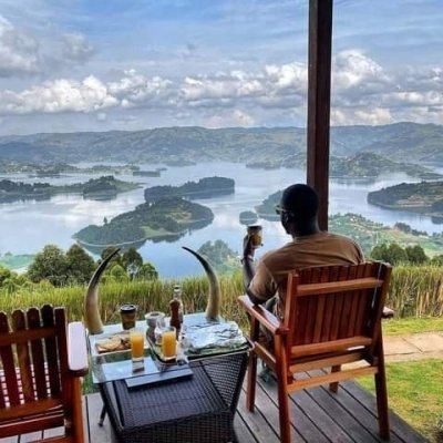 Mountain gorillas tracking In Bwindi Impenetrable National Park