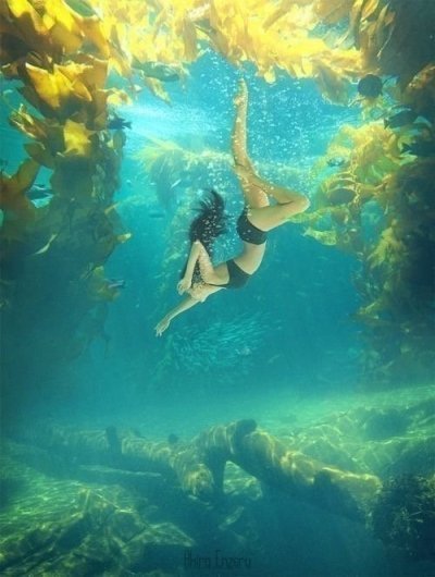 Private Waterfall and Hotspring.