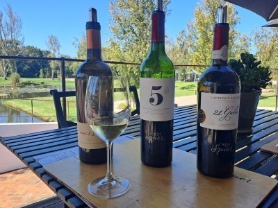 Full Day Cape Winelands including Stellenbosch, Franschhoek and Paarl.