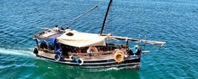 BIN KHEIR DOLPHIN SAFARI