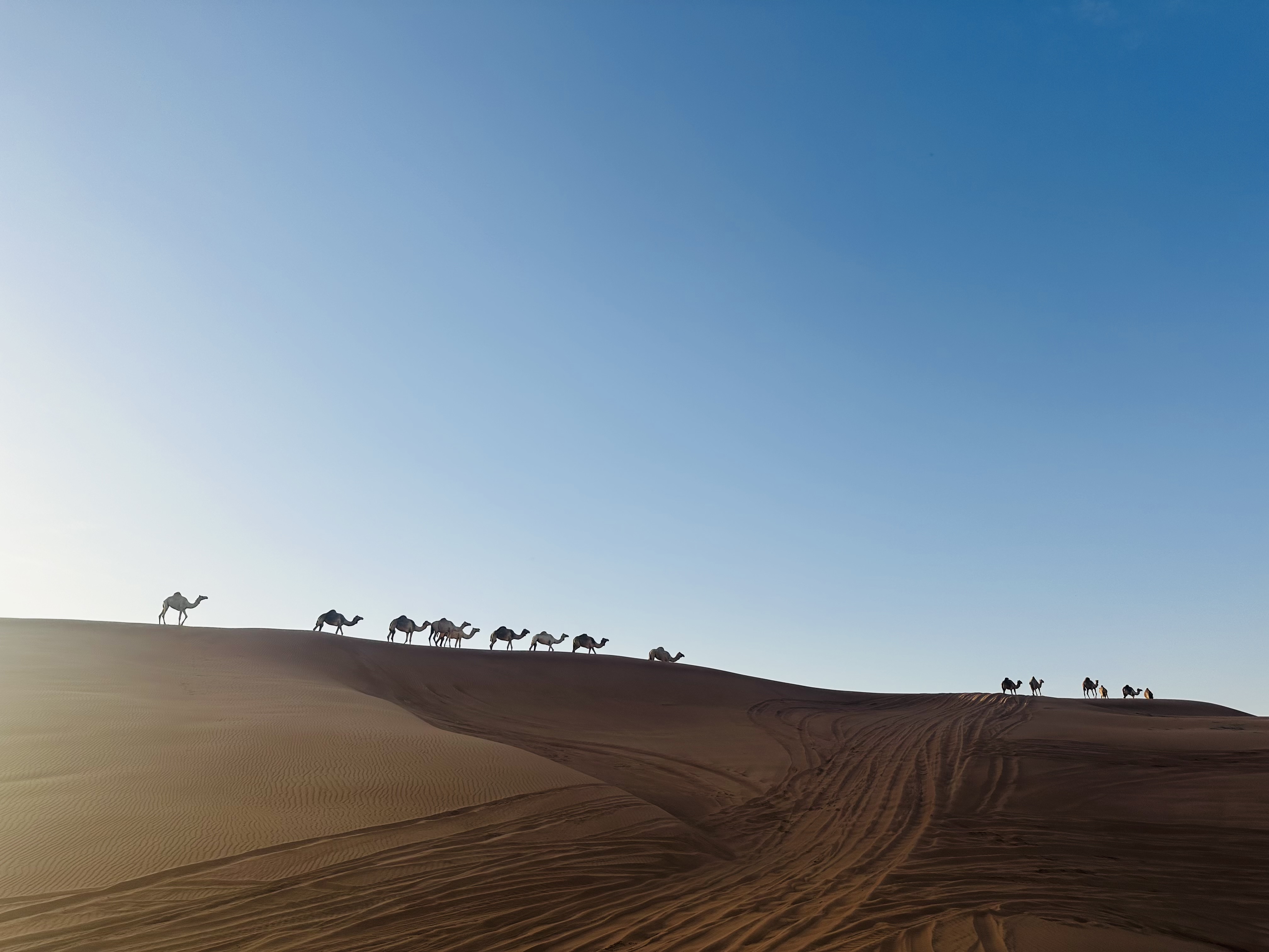 One day in Dubai desert