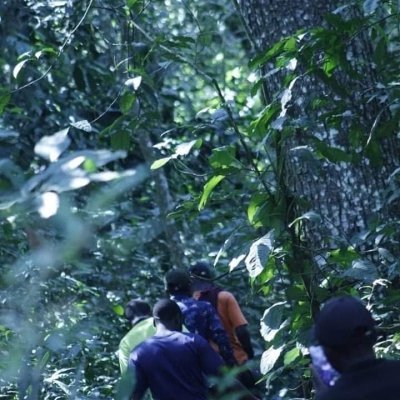 Birding tours and Big Five Experience