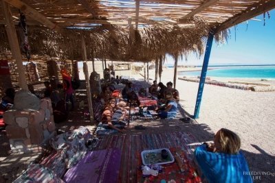 SAFARI DAY TOUR TO WADI EL GAMAL NATIONAL PARK FROM MARSA ALAM