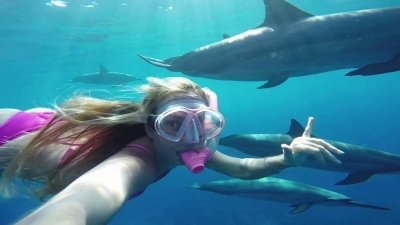 SWIMMING WITH DOLPHINS, SNORKELING TOUR FROM MARSA ALAM