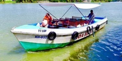 Boat Trips & Charters