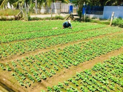 Nha Trang River Tour