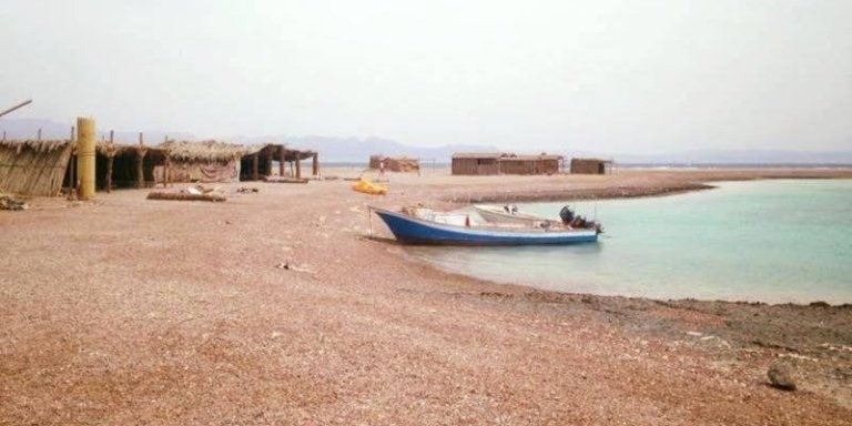 PRIVATE DAY TOUR TO BLUE LAGOON AND RAS ABU GALUM FROM DAHAB
