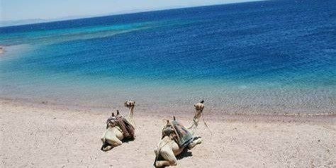 PRIVATE DAY TOUR TO THREE POOLS AT DAHAB SNORKELING AND CAMEL RIDE