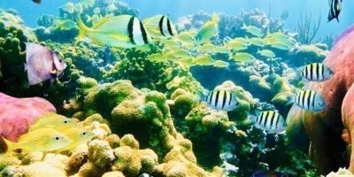 Water Activities & Sports