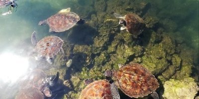 Water Activities & Sports