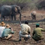 African Joined Tours and Safaris