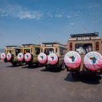 Widerange African Safaris | Tanzania safaris | Kilimanjaro hiking | Zanzibar beach packages