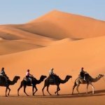 Morocco Tours\Marrakech Desert Tours\ Tour in Morocco\Fes Desert Excursions\ Camel Trekking\ Custom Tours Morocco\ Morocco Travel Company