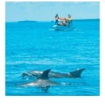 Zanzibar Private Tours